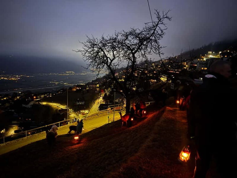 Triesenberg: Private hike with our llamas - Practical Details & Value