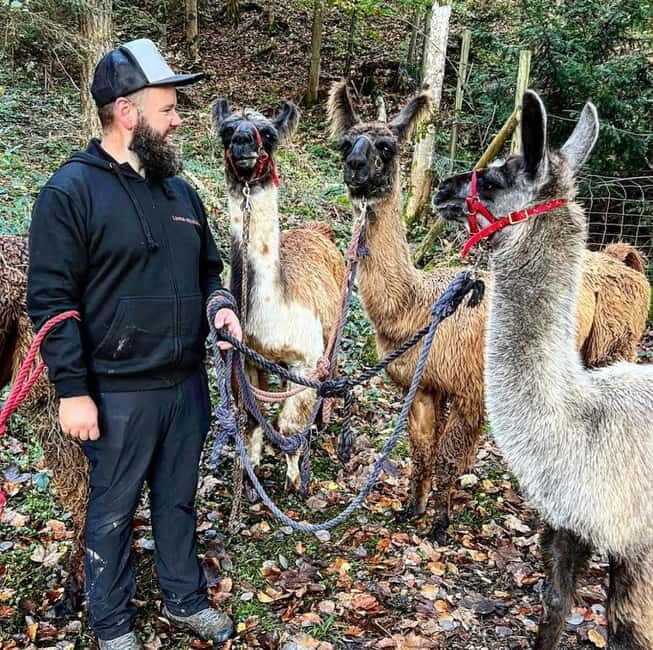Triesenberg: Walking Tour with Llamas and Cheese Raclette - An Overview of the Tour