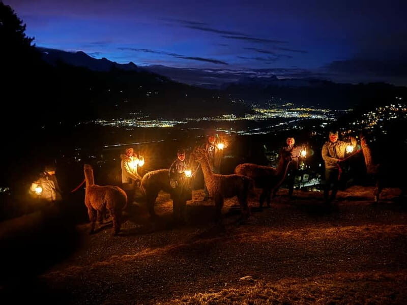 Triesenberg: Walking Tour with Llamas and Cheese Raclette - The Forest Lantern Walk