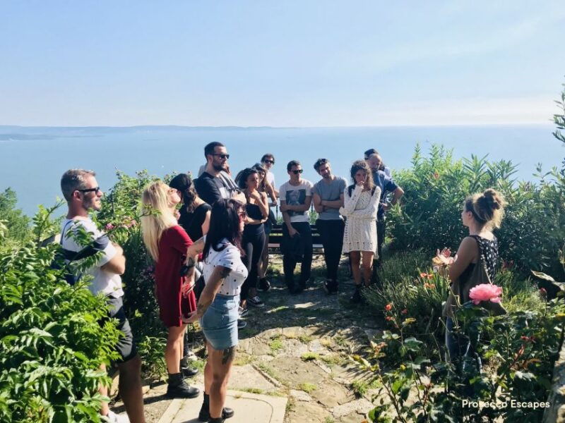 trieste-2-5-hour-prosecco-origins-tour-and-tastings