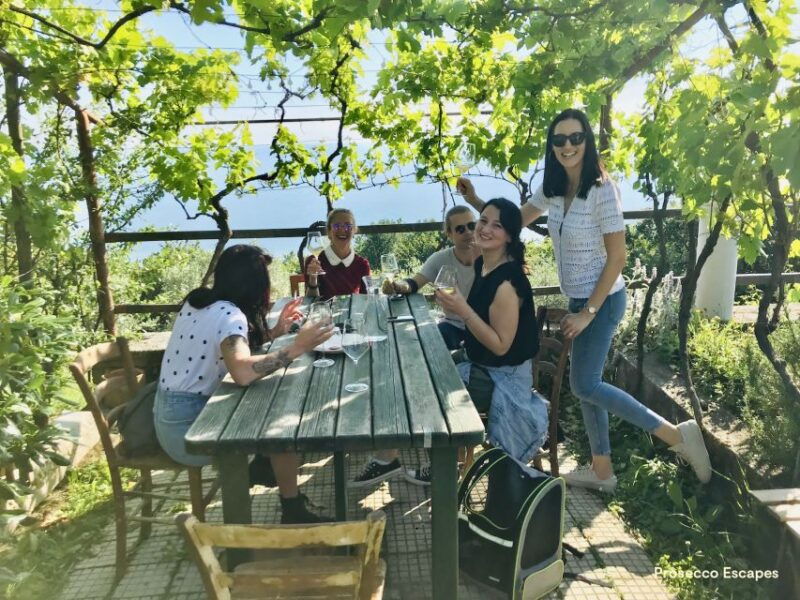 trieste-2-5-hour-prosecco-origins-tour-and-tastings