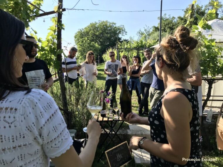 trieste-2-5-hour-prosecco-origins-tour-and-tastings