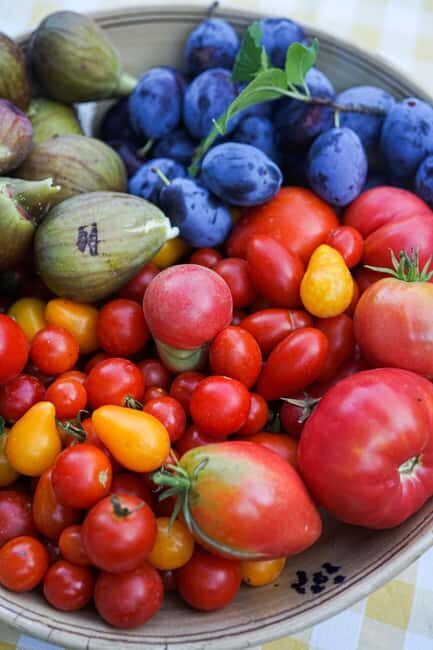 Trieste: a dive into local cuisine from field to table - Practical Details and Tips