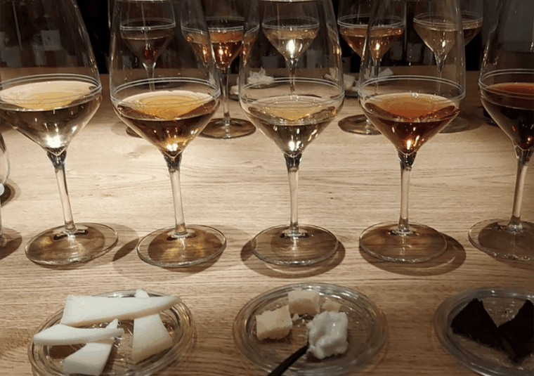 trieste-wine-tasting-from-istria-carso-and-friuli-terroirs