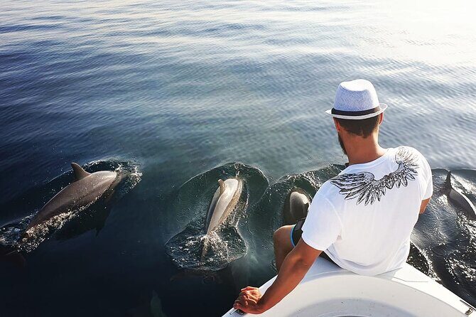 Trinco Tour B - Whales, Dolphins & Snorkeling tour - Starting Early: The Pickup & First Stop for Whale & Dolphin Watching