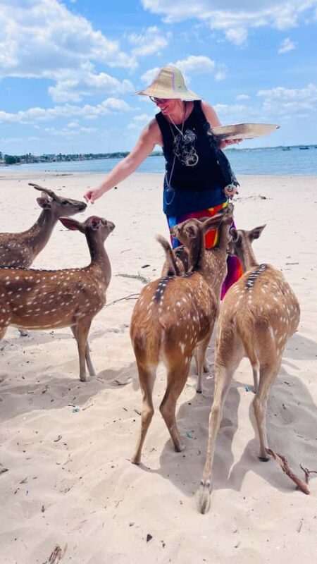 Trincomalee: 2-Day Private Tour with Snorkeling & Whales - Experience Overview: A Well-Rounded Dive into Trincomalee