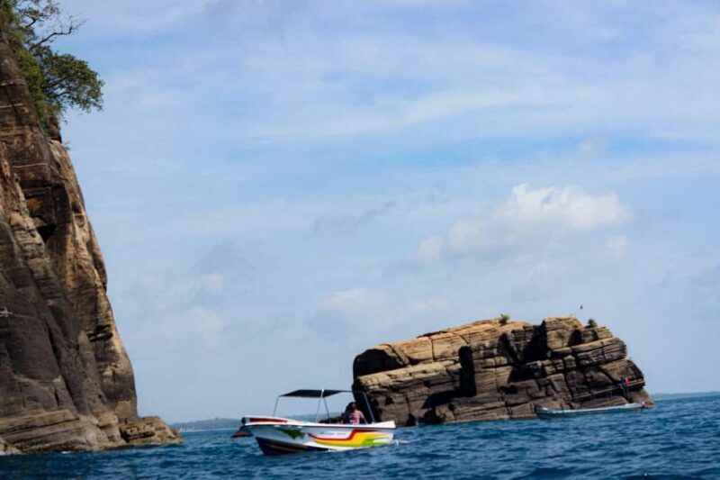 Trincomalee: All Inclusive Whale&Dolphin Watching Boat Tour - An In-Depth Look at the Experience