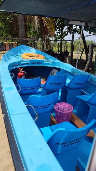 Trincomalee: Dolphin & Whale Watching Boat Tour - Practical Tips for Your Trip