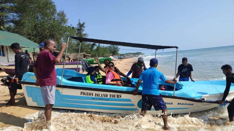 Trincomalee: Dolphin & Whale Watching Boat Tour - Final Thoughts