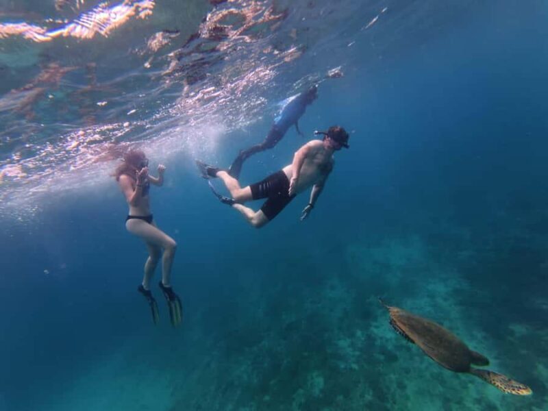 Trincomalee: Private Whale Watching and Snorkeling Tour - An Authentic Look at the Trincomalee Whale Watching and Snorkeling Experience