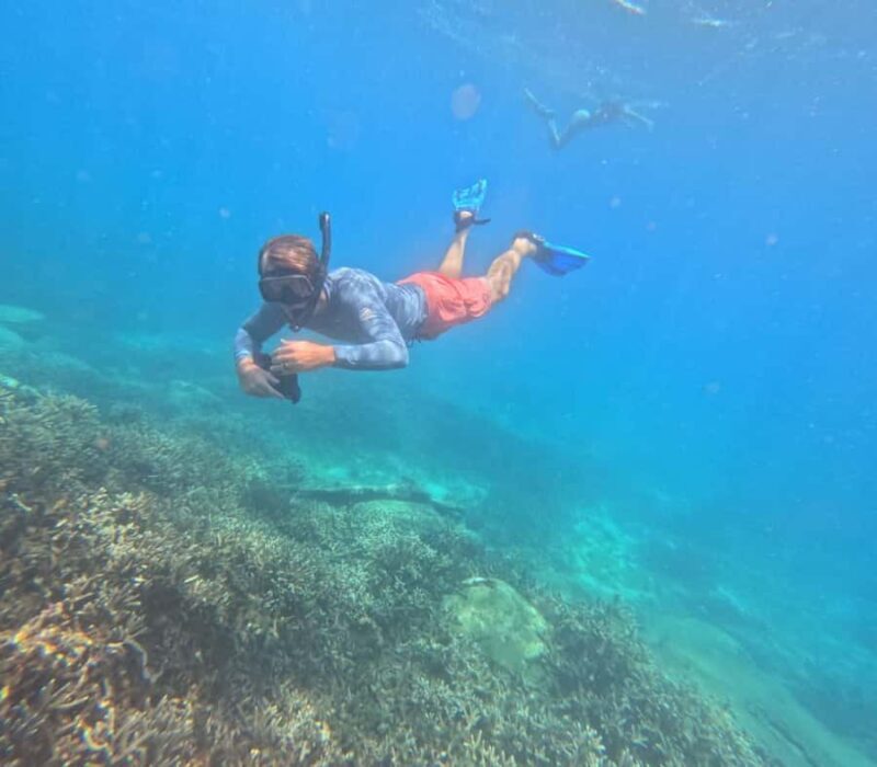 Trincomalee: Private Whale Watching and Snorkeling Tour - FAQ