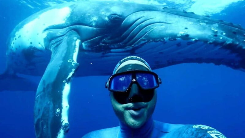 Trincomalee: Snorkeling Adventure with Whales - The Practicalities: What You Need to Know