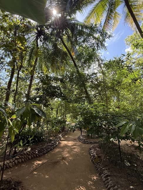 Trincomalee to Sigiriya:Rural Village Tour & Elephant Safari - Wildlife Safari: Elephants and More