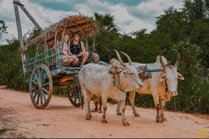 Trincomalee to Sigiriya:Rural Village Tour & Elephant Safari - Optional Cultural Stops and Workshops