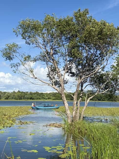 Trincomalee to Sigiriya:Rural Village Tour & Elephant Safari - The Experience in a Nutshell