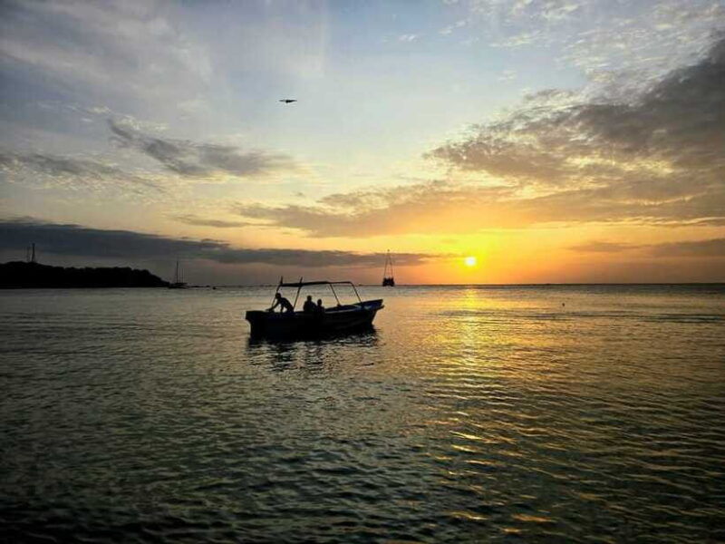 trincomalee-whale-dolphin-watching-pigeon-island-tour