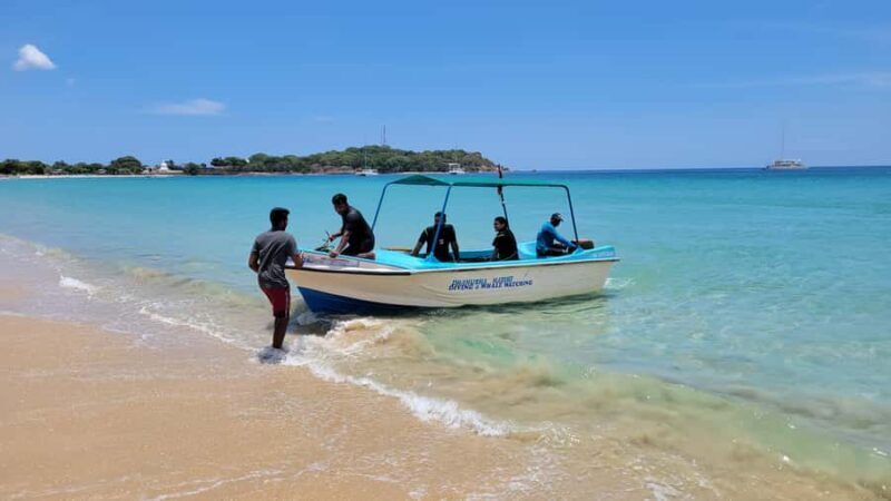 Trincomalee: Whales & Dolphin Watching Tours - FAQ