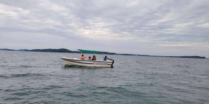 trincomalee-whales-dolphin-watching-tours