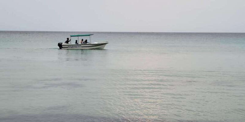trincomalee-whales-dolphin-watching-tours