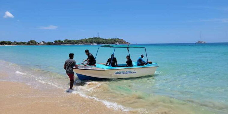 trincomalee-whales-dolphin-watching-tours