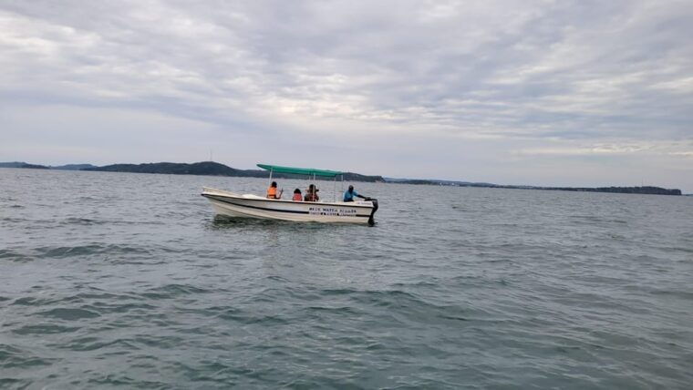 trincomalee-whales-dolphin-watching-tours