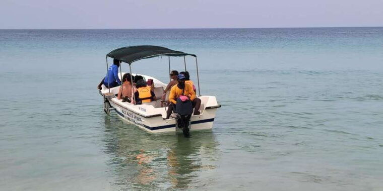 trincomalee-whales-dolphin-watching-tours