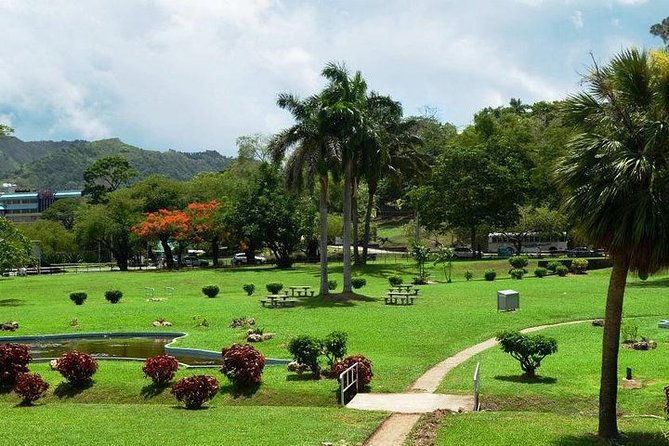 trinidad-highlights-tour-from-port-of-spain