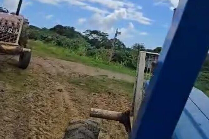 Trinidad's Mud bath - Practical Tips for Your Trip