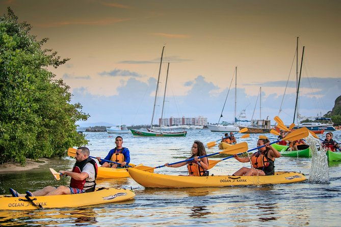 trio-tour-el-yunque-luquillo-beach-and-bio-bay-night-kayaking