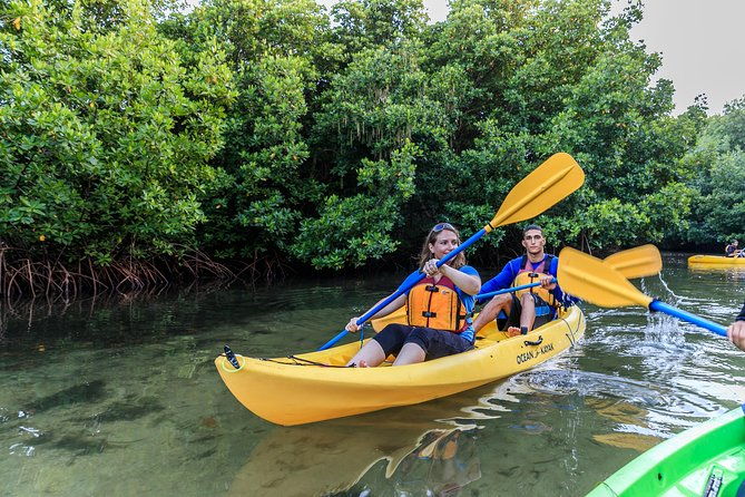 trio-tour-el-yunque-luquillo-beach-and-bio-bay-night-kayaking
