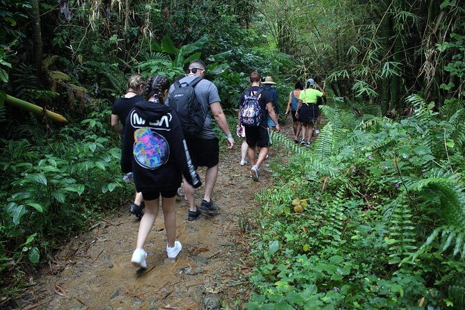trio-tour-el-yunque-luquillo-beach-and-bio-bay-night-kayaking