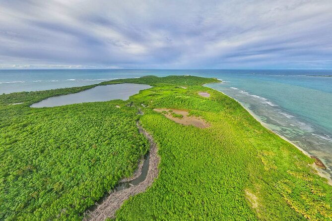 trio-tour-el-yunque-luquillo-beach-and-bio-bay-night-kayaking