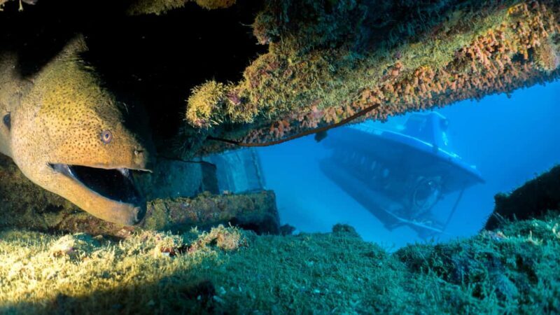Triolet: Submarine Dive with Hotel Transfers - Key Points