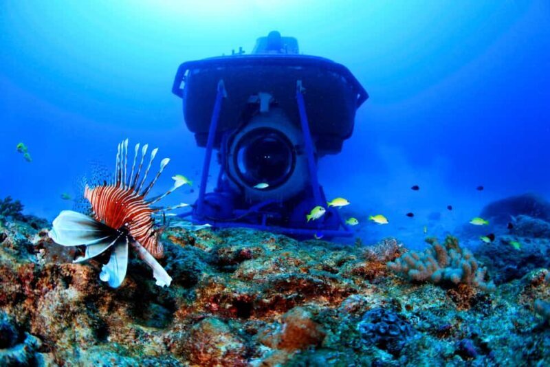 Triolet: Submarine Dive with Hotel Transfers - What to Expect on the Triolet Submarine Tour