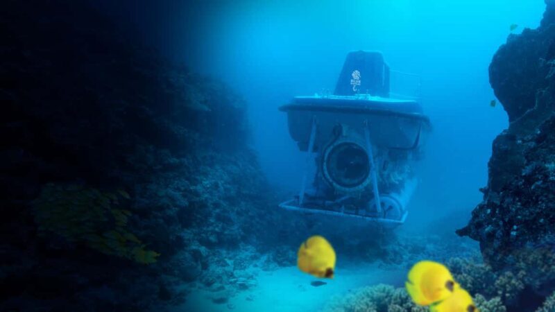 Triolet: Submarine Dive with Hotel Transfers - The Sum Up: Who Should Consider This Experience?
