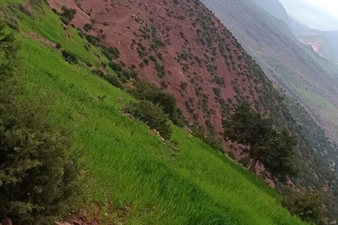 Trip 3 Valleys & HIGH Atlas Mountains - What Could Be Better