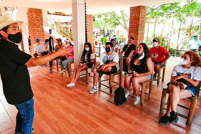 trip-and-tour-to-paracas-huacachina-and-winegrowers