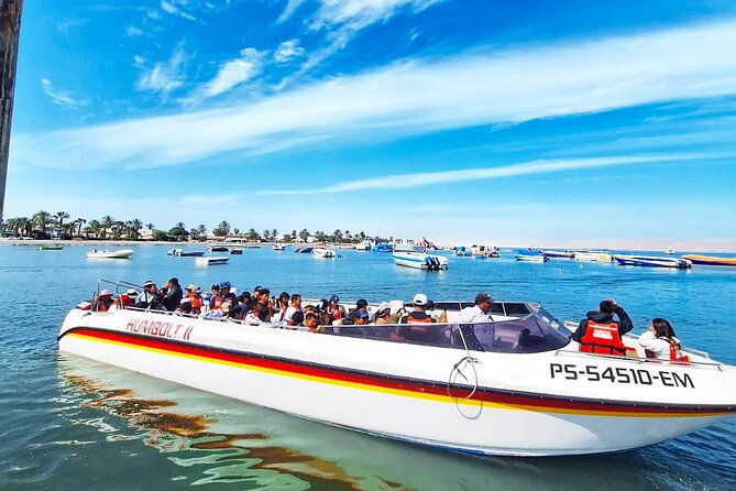 trip-and-tour-to-paracas-huacachina-and-winegrowers