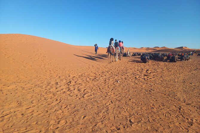 Trip From Erfoud To Merzouga Desert, Dinner, Camel Ride, Sunset - Return Journey: Back to Erfoud