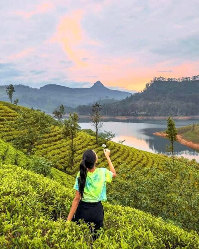 Trip from Kandy to Ambewela Railway Station via Nuwara Eliya - Authentic Insights from Travelers