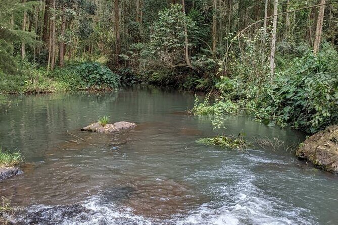 Trip from Nairobi to Muranga with Waterfall Hike and Picnic - The Itinerary in Detail