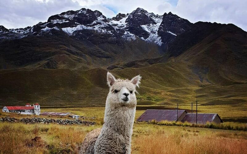 trip-from-puno-to-cusco-with-the-route-of-the-sun