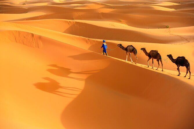 trip of your dreams in 3 days and 2 nights in the desert - What to Expect from the Tour