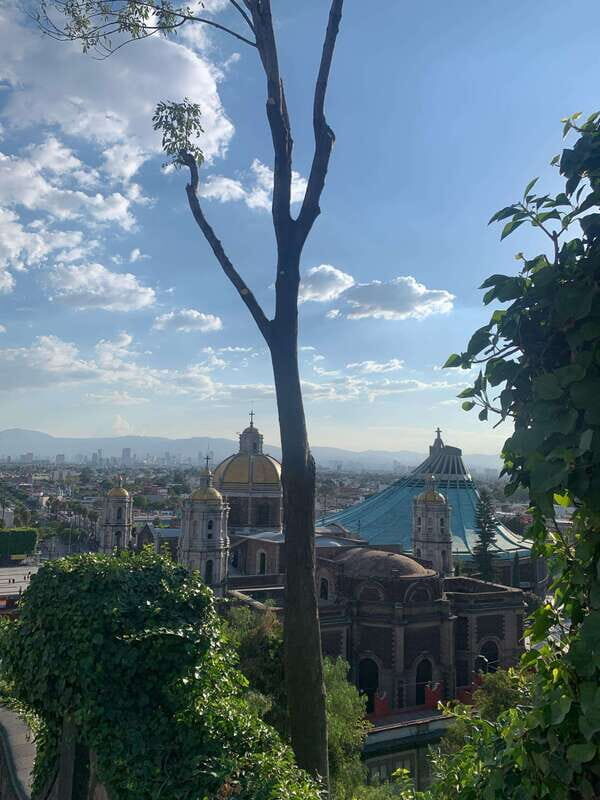 Trip through Teotihuacan, Basilica and Mezcal tasting. - Practical Details: What to Expect and How It Fits