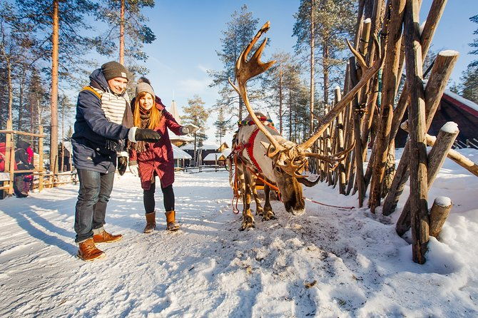 trip-to-arctic-circle-santa-claus-village-and-santas-reindeer