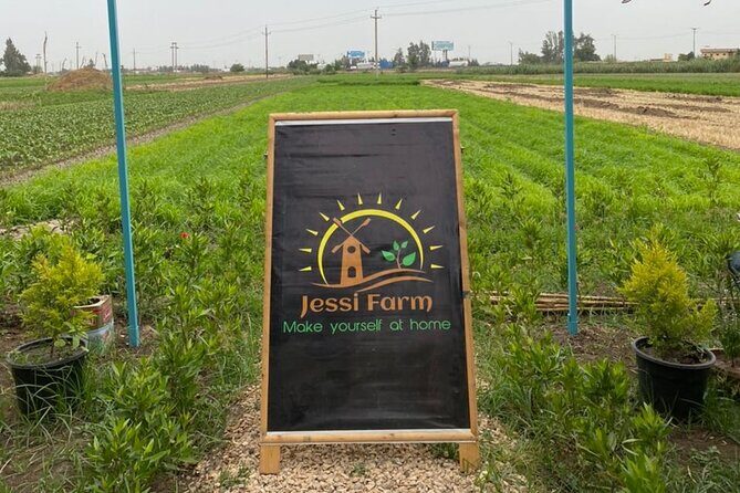 Trip to Cairo Countryside with Authentic Food Tour - Key Points