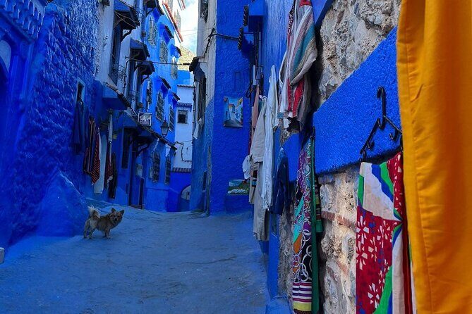 Trip to Chefchaouen: All-Inclusive Tour with Lunch Included - Pricing & Value Analysis