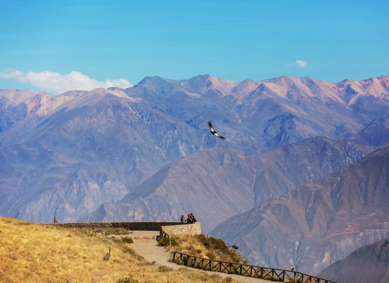 trip-to-colca-canyon-2-days-transfer-to-puno-with-meals