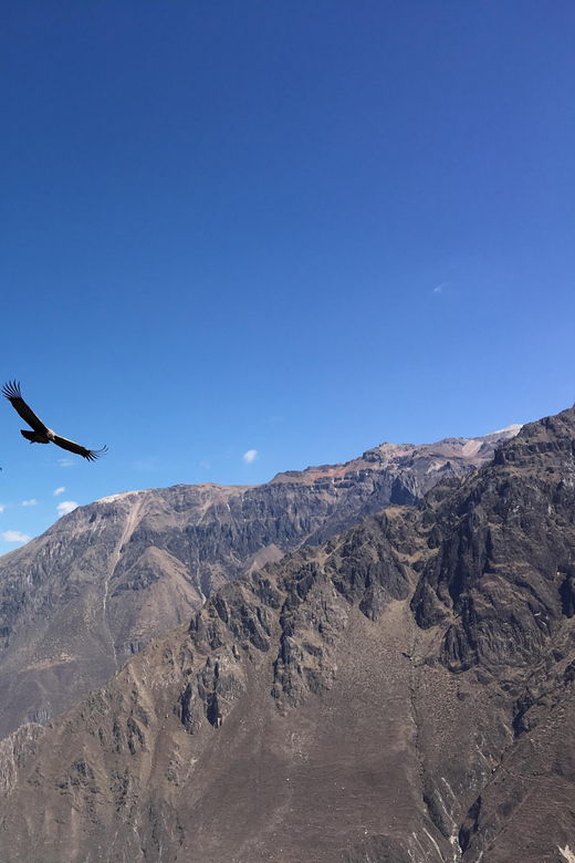 trip-to-colca-canyon-2-days-transfer-to-puno-with-meals