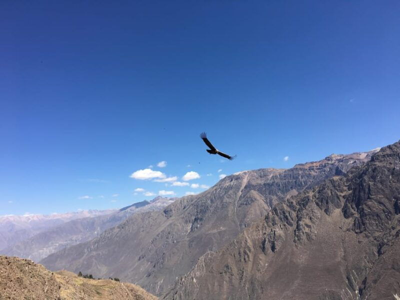 trip-to-colca-canyon-2-days-transfer-to-puno-with-meals